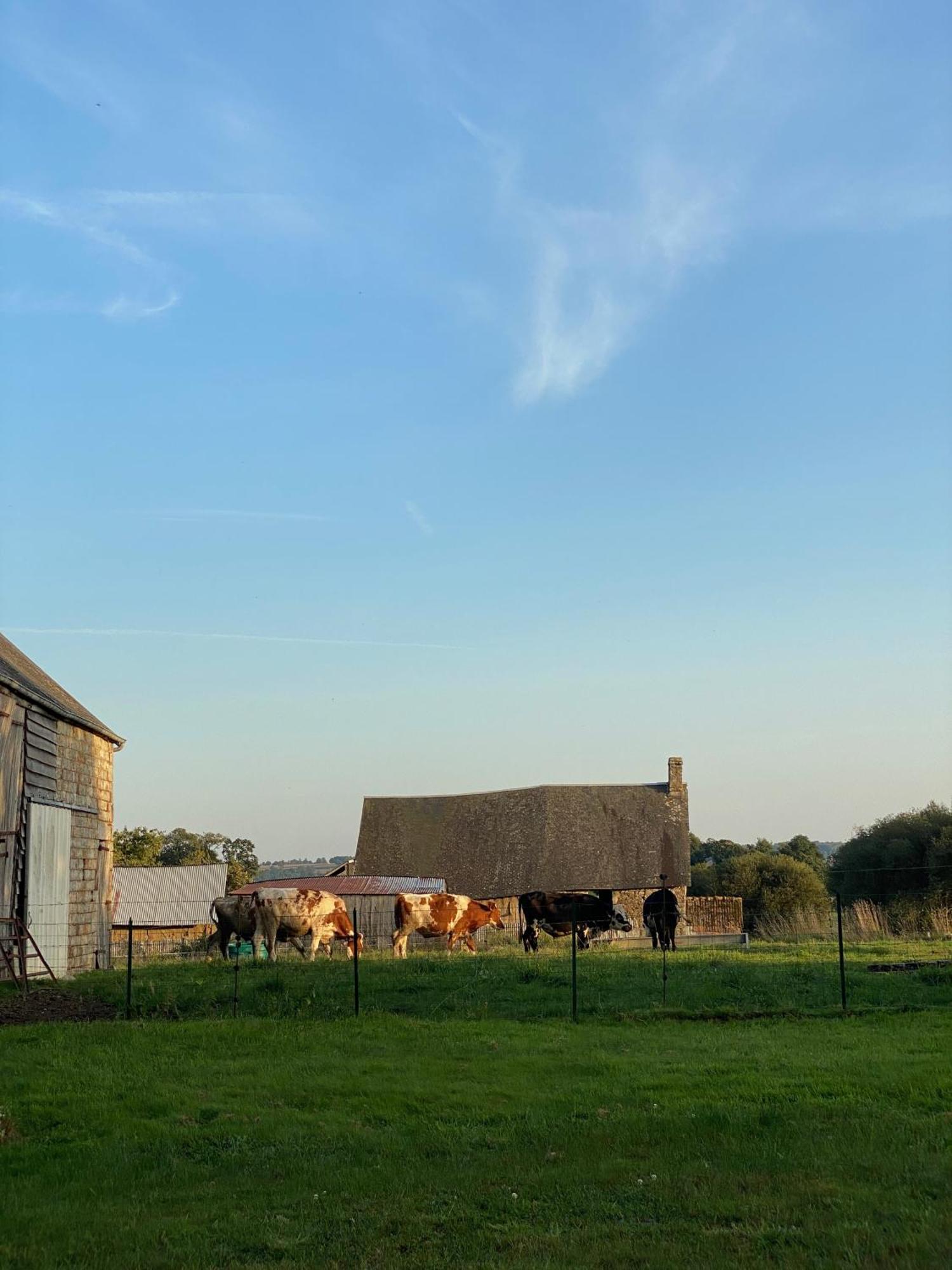 Entire Farm House Stay, La Gerouardiere Barenton Exterior foto